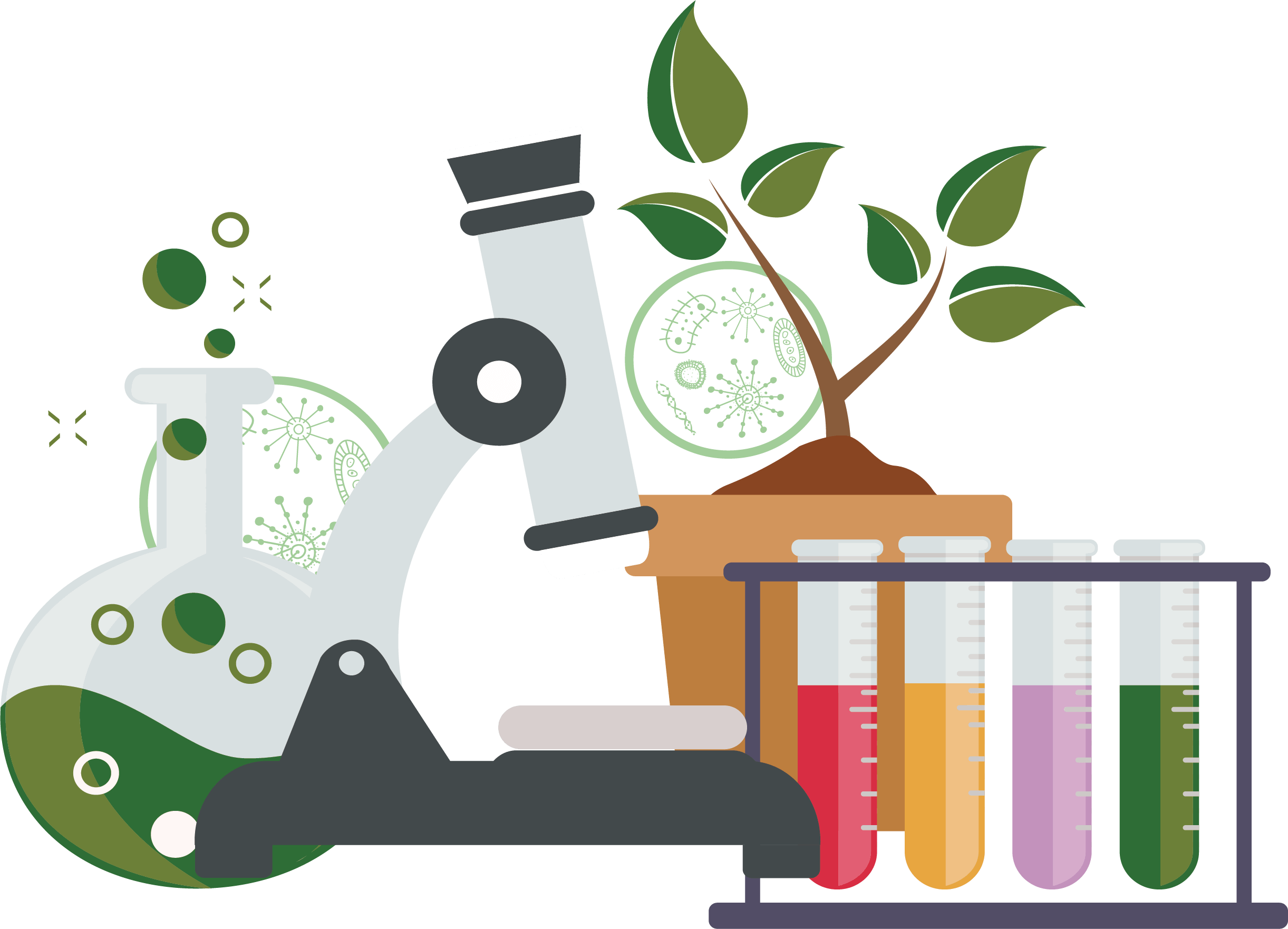 Science, Technology, Engineering, and Mathematics