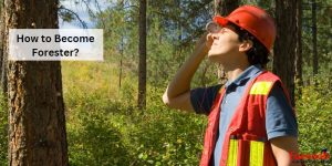 How to Become Forester?