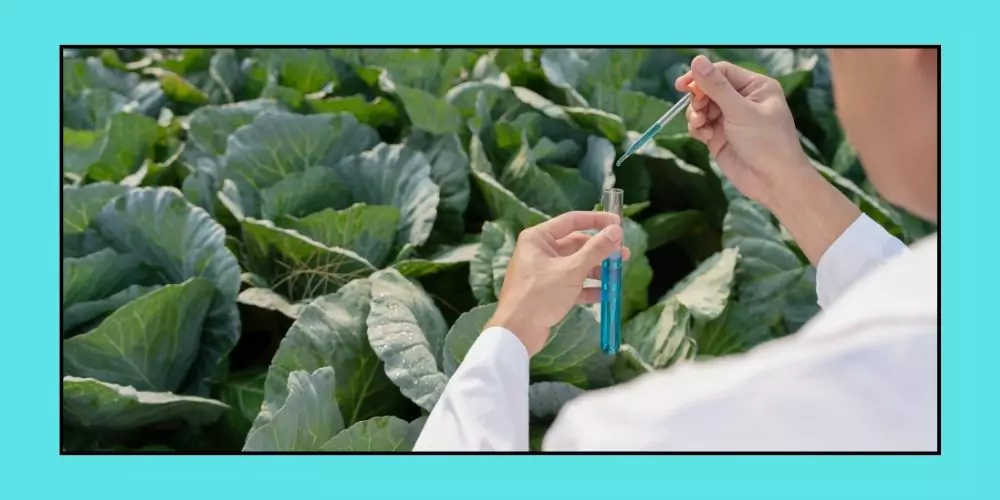 How to Become a Biological Technician?